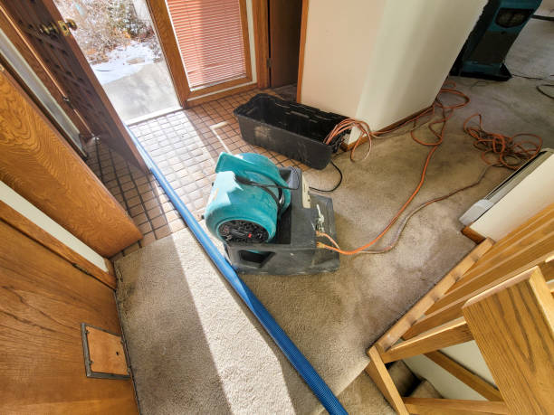 Best Flood restoration services  in Los Ranchos De Albuquerque, NM