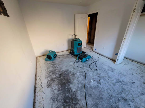 Best Mold removal after water damage  in Los Ranchos De Albuquerque, NM