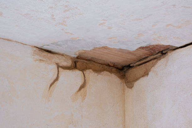 Best Water damage restoration near me  in Los Ranchos De Albuquerque, NM